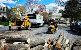Artificial Turf Installation in Oyster Bay Cove, NY